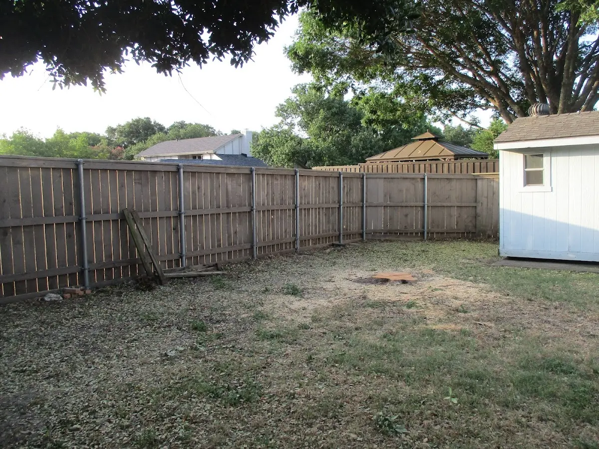 Cleared yard after professional tree removal in Needham