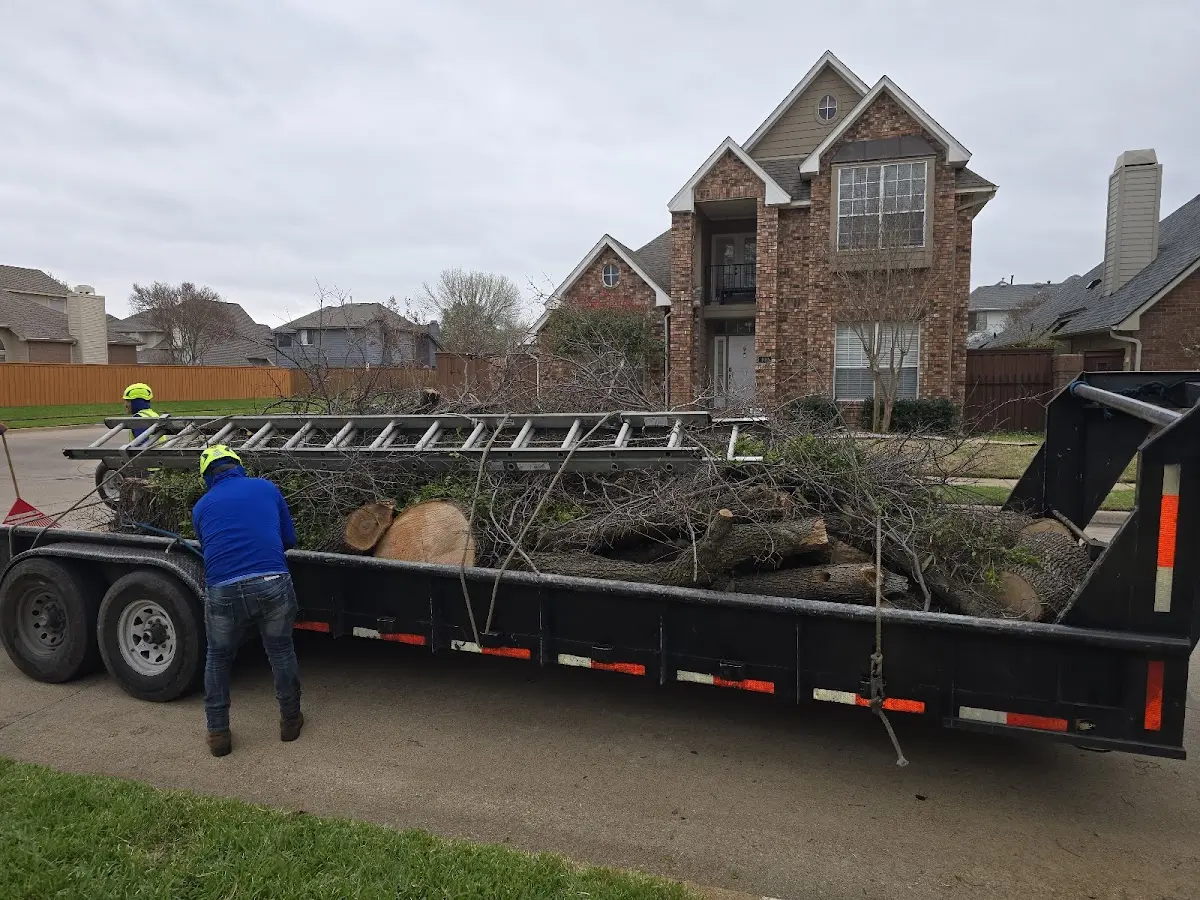 Expert Lot Clearing with proper safety equipment in Needham